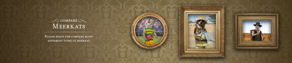 compare-meerkats_01